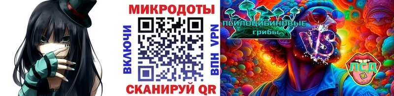 Галлюциногенные грибы Psilocybe  Иваново 